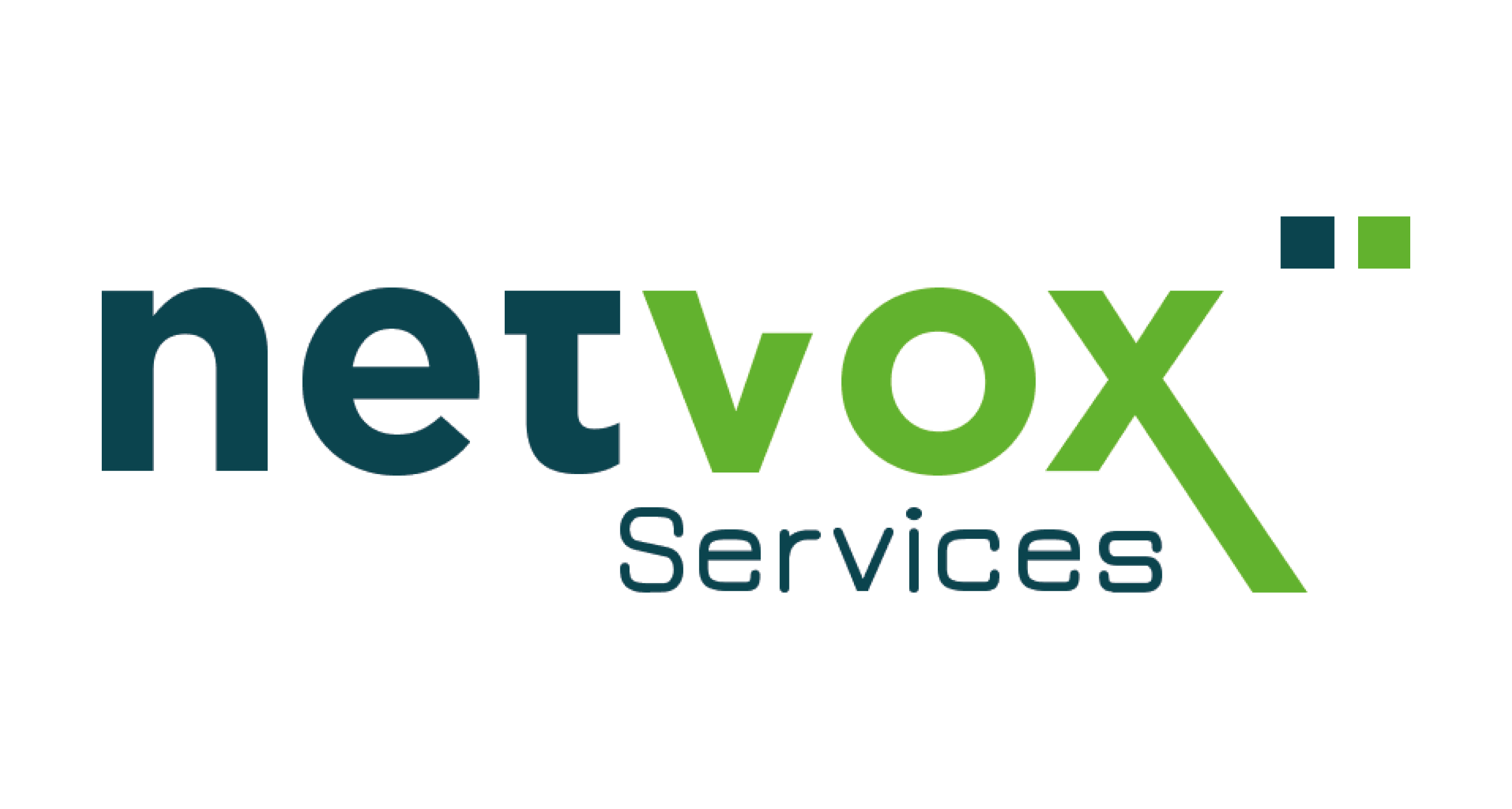 netvox client-image